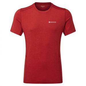 Dark Red Men's Montane Dart T Shirts | TFA5697OU