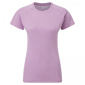 Grey Purple Women's Montane Dart T Shirts | HSV596JP