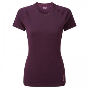 Purple Women's Montane Dart T Shirts | XFK2448SS